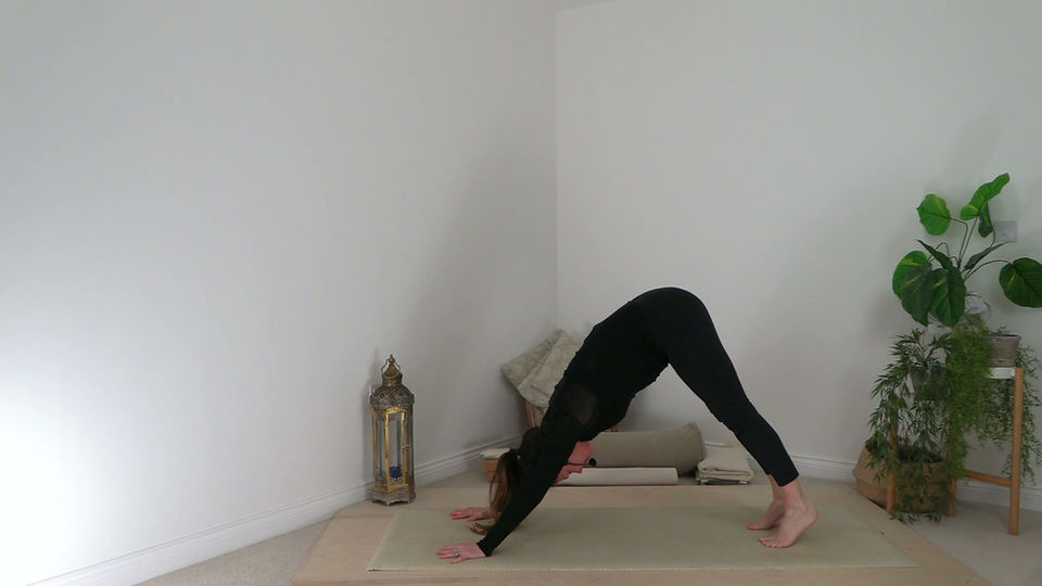 Slow & Restore - 25/2/26